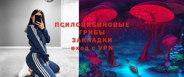 ГАЛЛЮЦИНОГЕННЫЕ ГРИБЫ Богданович