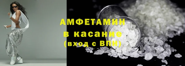 ГАЛЛЮЦИНОГЕННЫЕ ГРИБЫ Богданович