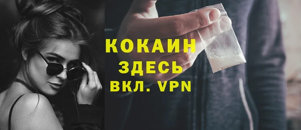 ГАЛЛЮЦИНОГЕННЫЕ ГРИБЫ Богданович