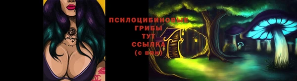 ГАЛЛЮЦИНОГЕННЫЕ ГРИБЫ Богданович