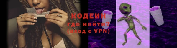 ГАЛЛЮЦИНОГЕННЫЕ ГРИБЫ Богданович