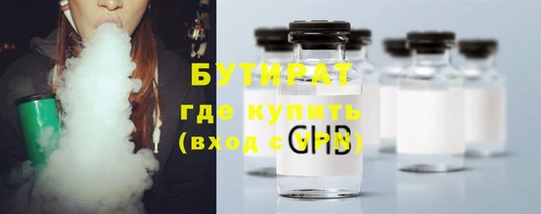 ГАЛЛЮЦИНОГЕННЫЕ ГРИБЫ Богданович