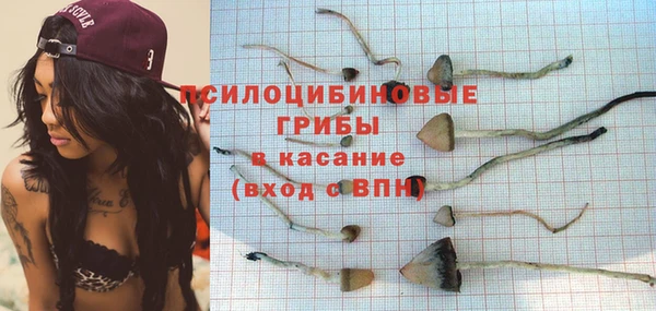 экстази Богородицк