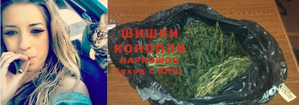 jwh Богородск