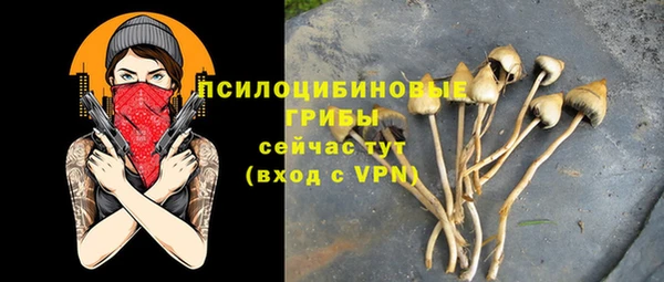 экстази Богородицк