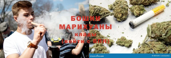 ГАЛЛЮЦИНОГЕННЫЕ ГРИБЫ Богданович