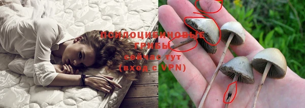 экстази Богородицк