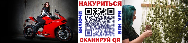 Конопля OG Kush  Моршанск 